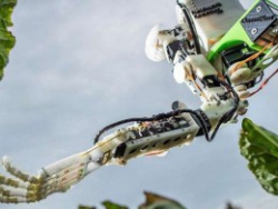 ورود ربات‌ها به عرصه کشاورزی